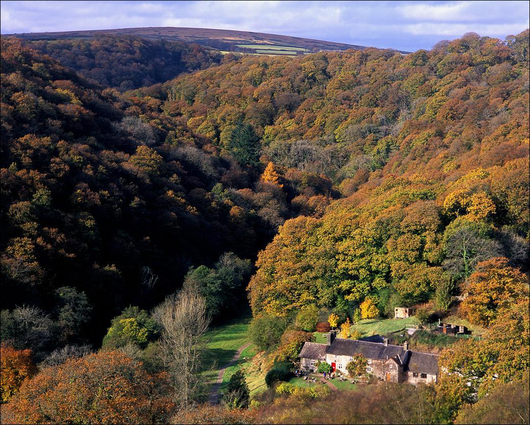 Tarr Farm Inn Liscombe Kültér fotó